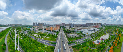 城市全景俯瞰绿树成荫的道路与建筑