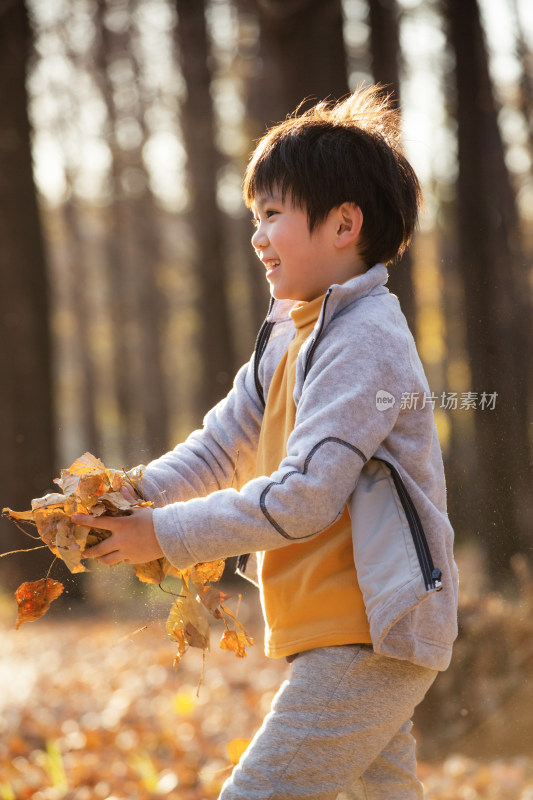 秋天户外男孩玩树叶