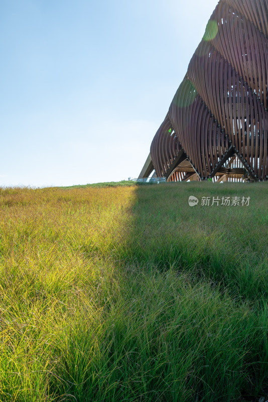 四川成都熊猫基地熊猫塔建筑