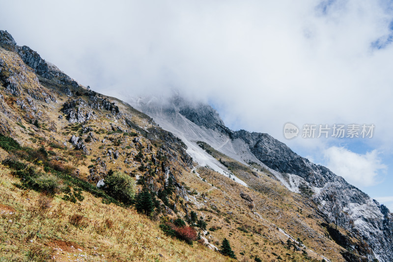 丽江玉龙雪山蚂蝗坝