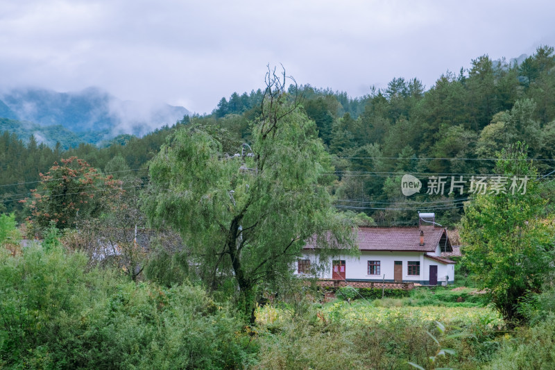 汉中留坝火烧店镇秦岭深处的山村田园风光