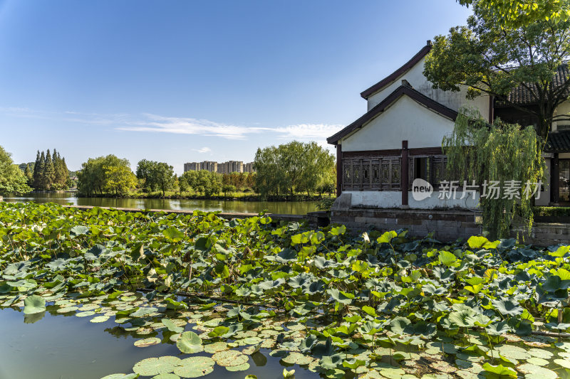 浙江绍兴柯岩景区柯岩鲁镇风景