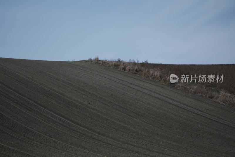 收割后的纹理感稻田