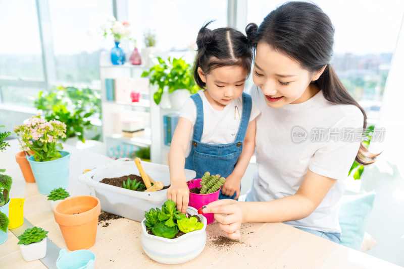 快乐的母女俩在家种植盆栽