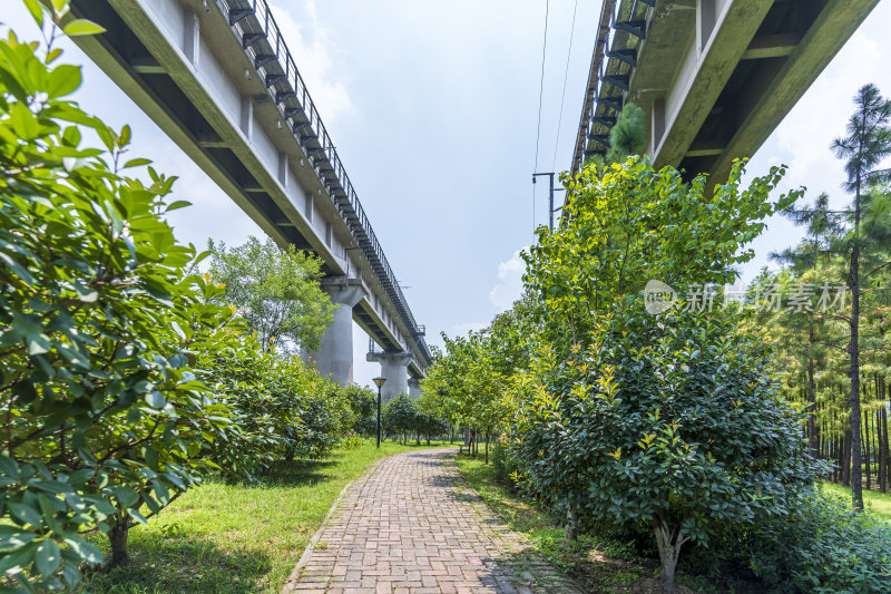 武汉青山区戴家湖公园风景