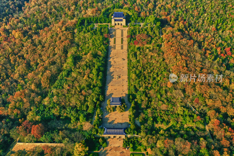 南京钟山的秋天美景