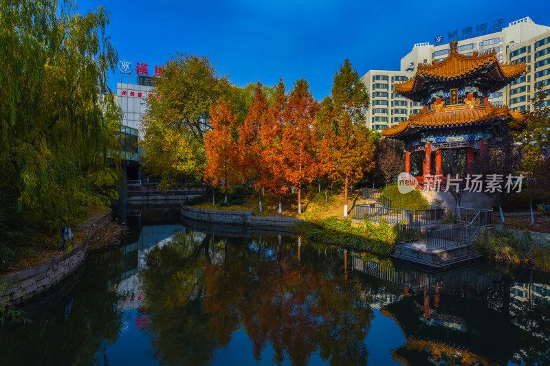 中式凉亭旁秋日水景