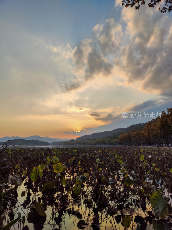 杭州西湖断桥湖畔黄昏夕阳下的景色