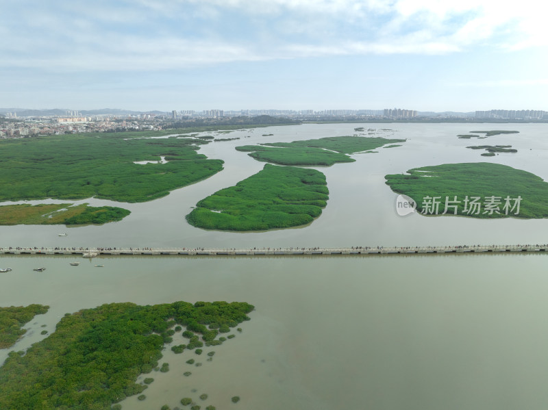 福建泉州洛阳桥万安桥泉州洛江区航拍