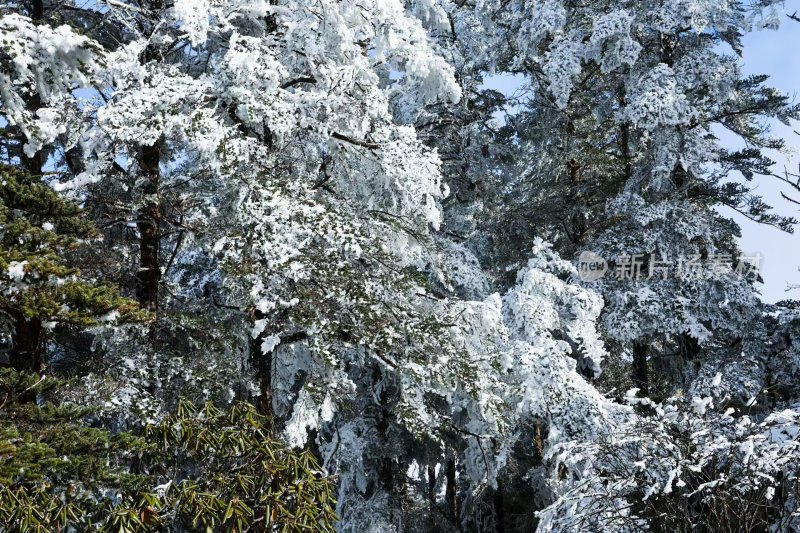 大山披雪装，冰雪盛景韵悠长