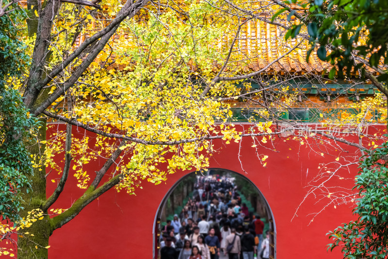 南京钟山风景名胜区明孝陵秋景