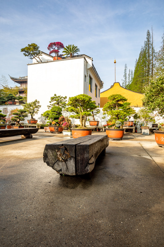 上海徐汇龙华寺自然建筑景观龙华寺塔