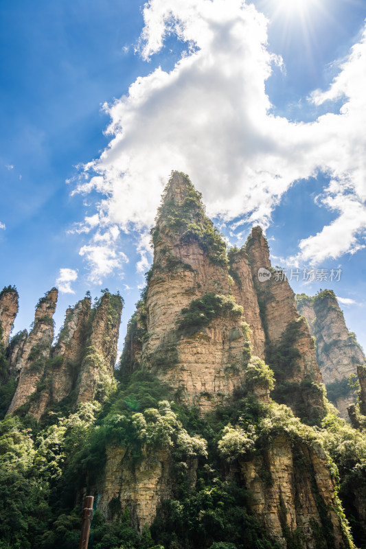 中国湖南张家界景区奇特山峰与茂密森林