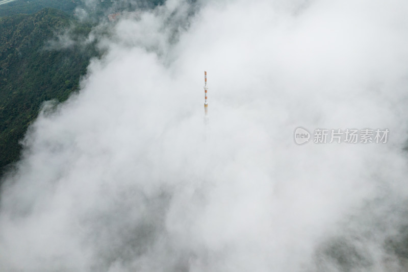 梧桐山电视塔云海