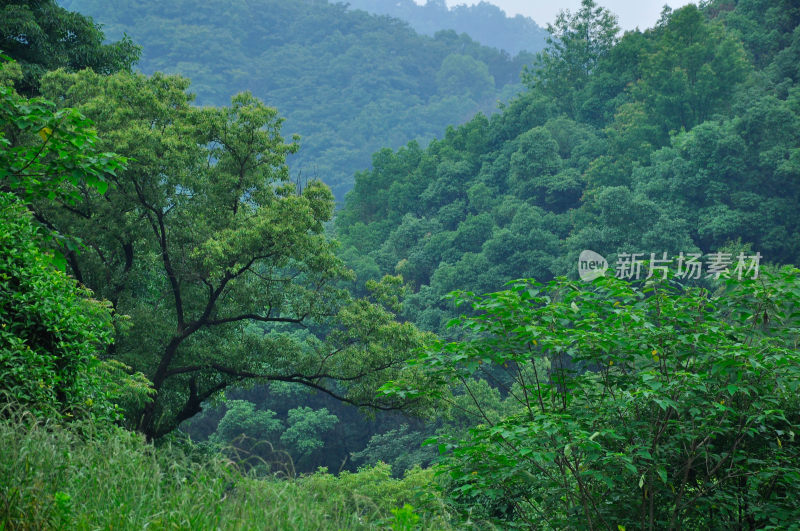 长沙风景，自然风光，长沙城景