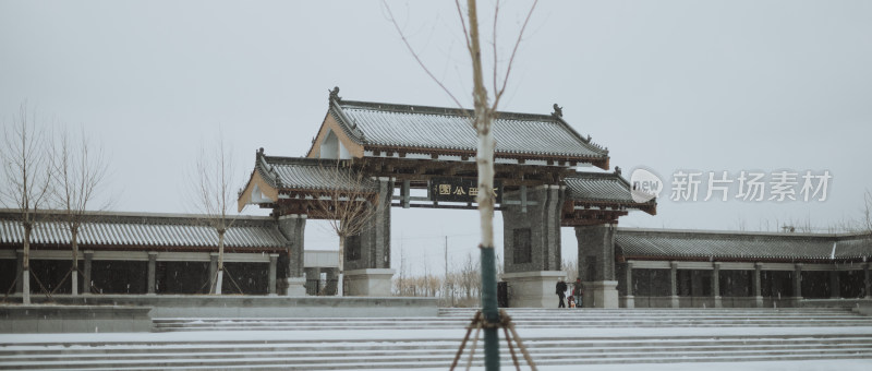 天津市水西公园 冬天雪景