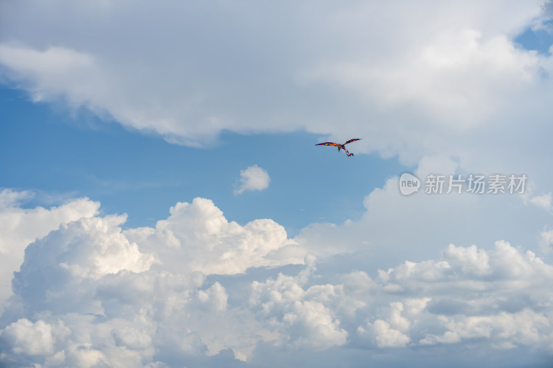 蓝天下色彩斑斓的风筝飞舞在空中