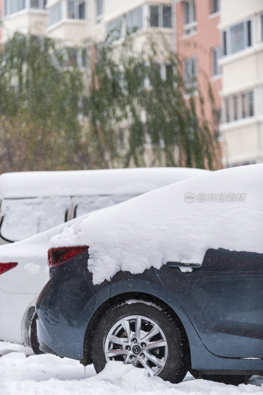 冬天被白雪覆盖的汽车