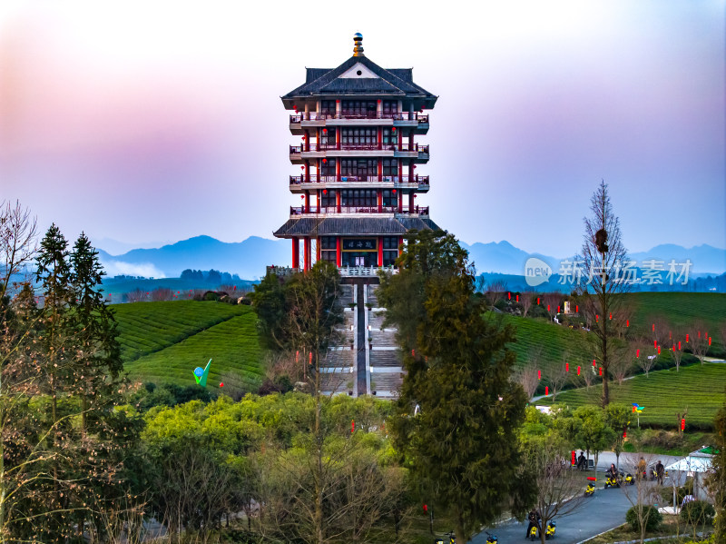 贵州遵义湄潭茶海