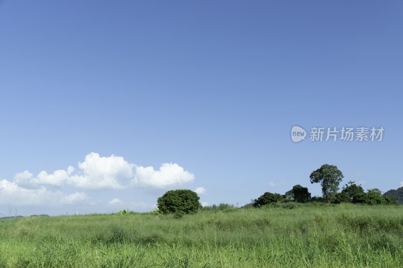 宫崎骏的夏天