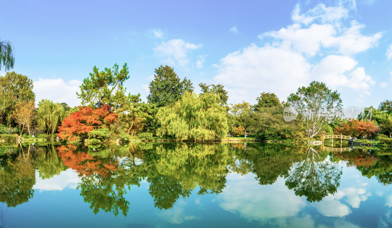 浙江杭州西湖花港公园园林秋景