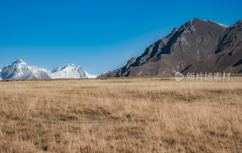 秋天荒凉高山草原自然风景