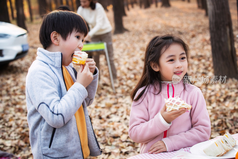 幸福家庭在户外野餐