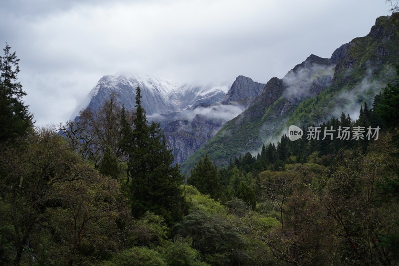 四川阿坝藏族羌族自治州四姑娘雪山风貌