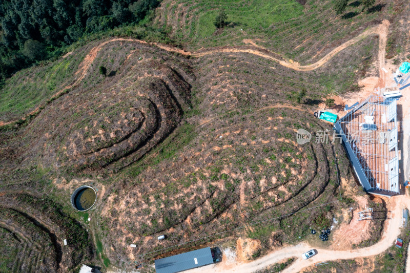 山坡上的梯田 经济作物种植基地