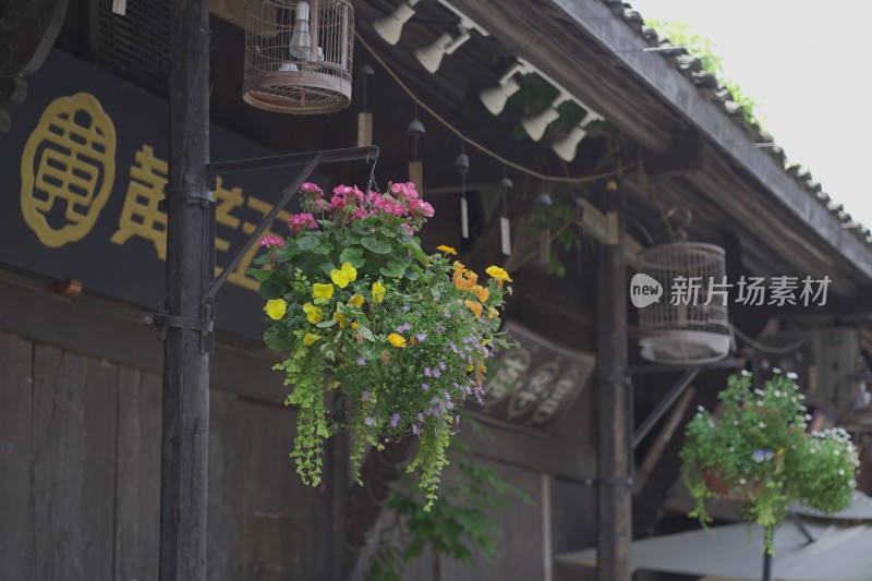 四川安仁古镇夏季开花盆栽植物花卉建筑