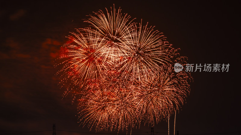 绚烂烟花在夜空绽放的璀璨景象