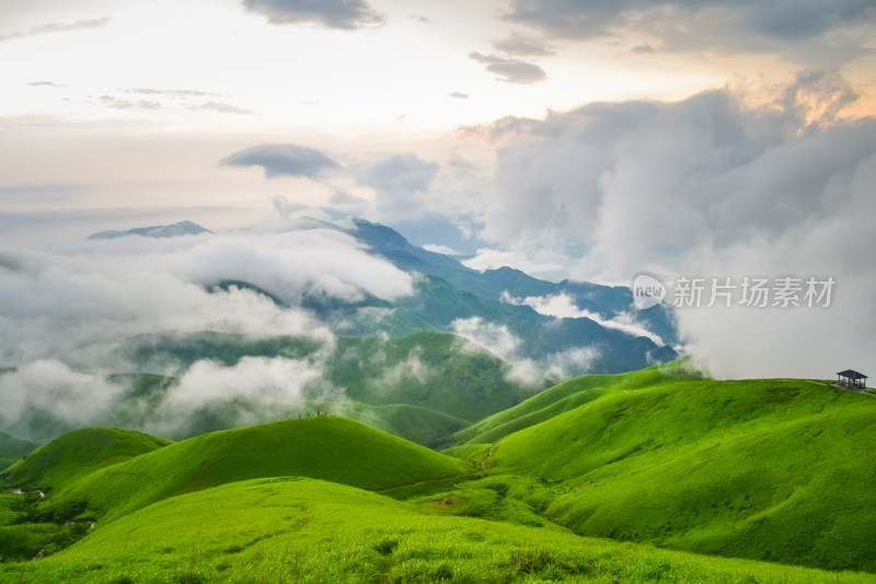 夏天江西武功山的高山草甸