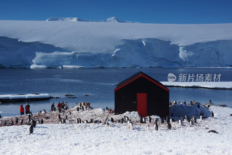 南极雪地小屋旁的企鹅与人