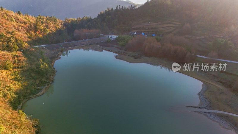 重庆酉阳：天山堡水杉红似火