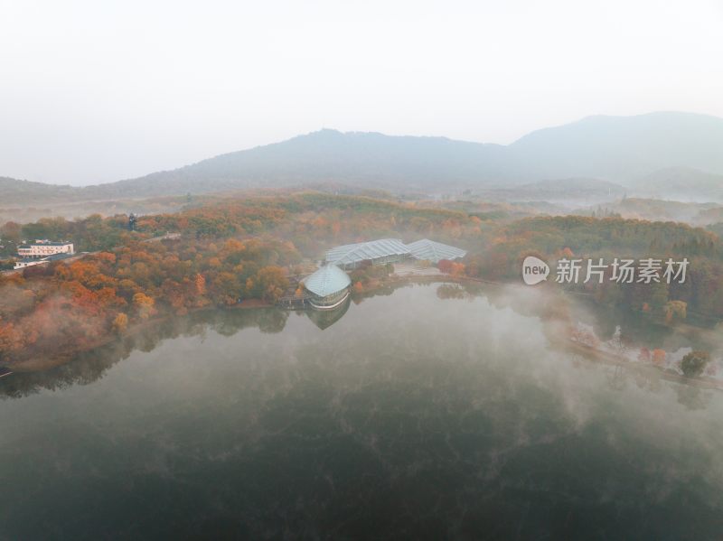 南京中山植物园前湖秋季风光