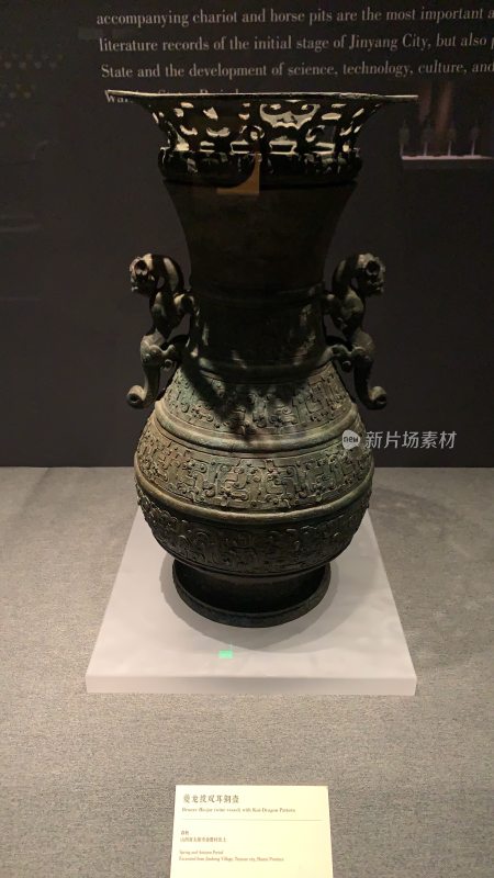 博物馆藏龙虎纹青铜尊