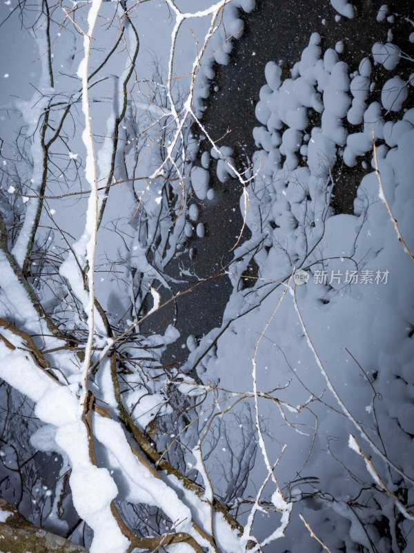 雪中树枝和河流