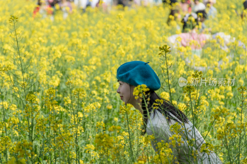 福州花海公园市民在油菜花田里拍照