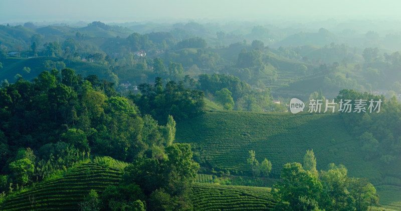 茶园茶山美丽乡村