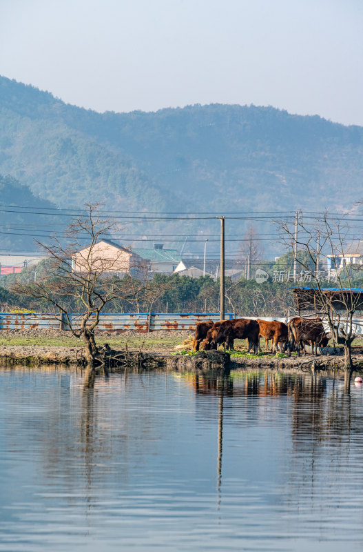 浙江宁波鄞州区冠英村自然山水景观