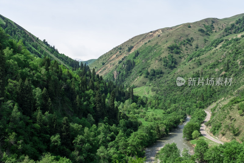 新疆伊犁恰西草原森林河谷风光