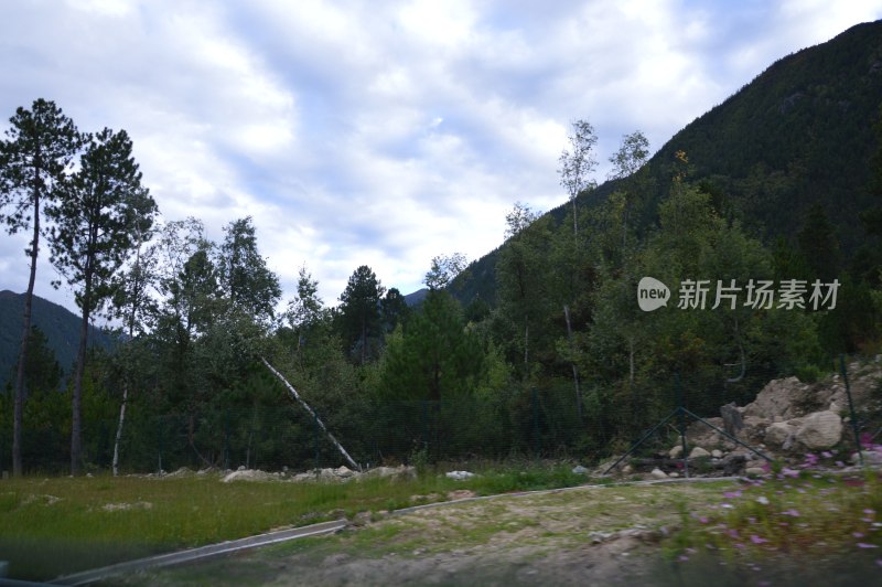 西藏巴松措景区风景