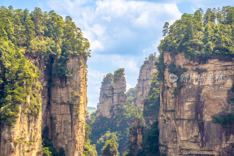 中国湖南张家界景区奇特山峰与茂密森林