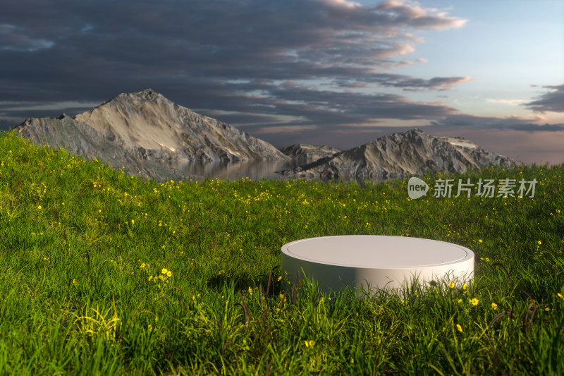 草原上的空置物台 3D渲染