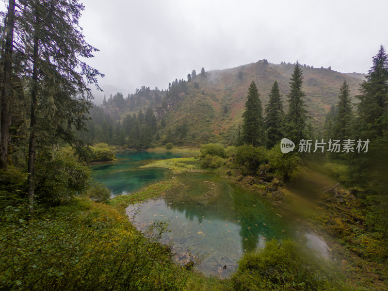 静谧的森林与湖景