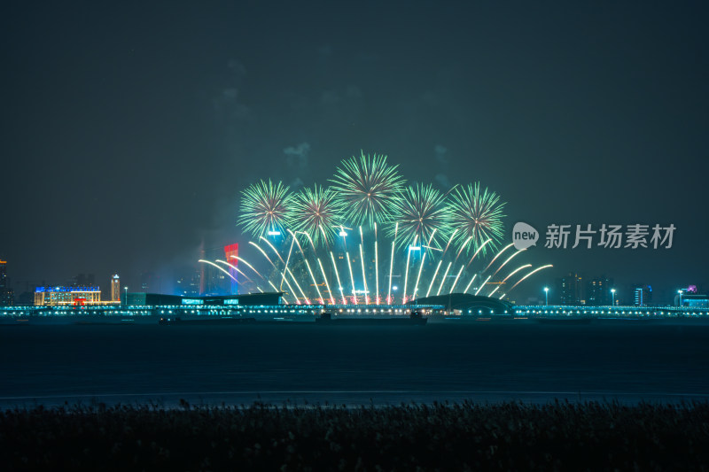 新年夜空中绽放的烟火