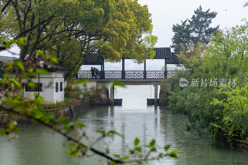 烟雨江南无锡蠡园春色