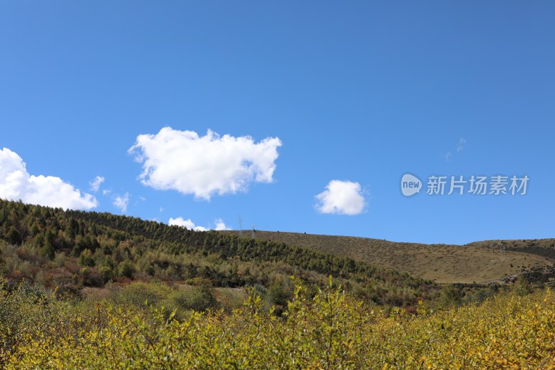 中国四川甘孜蓝天白云下的青山