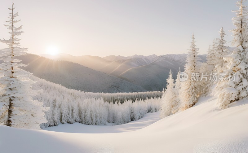 冬季森林白雪覆盖风景