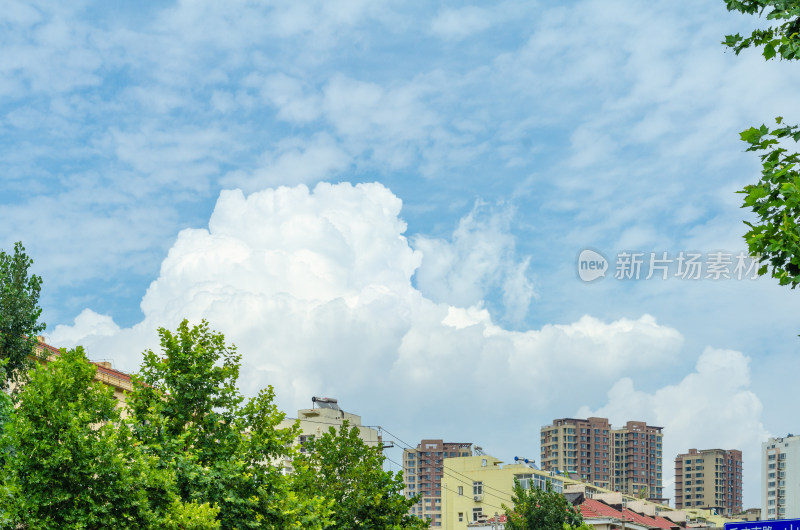 青岛市四方区老城区的蓝天白云绿树